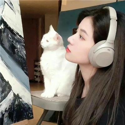 华丽的假期