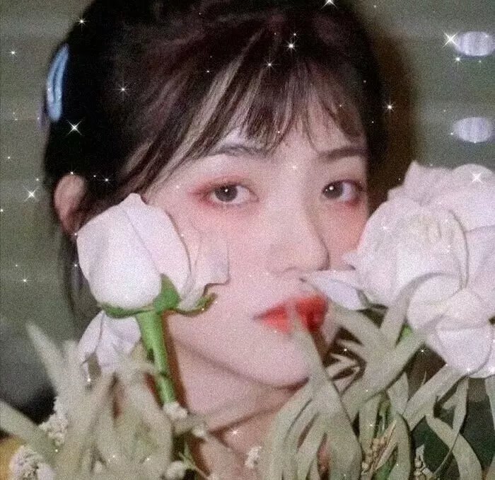 精灵高中之纽约